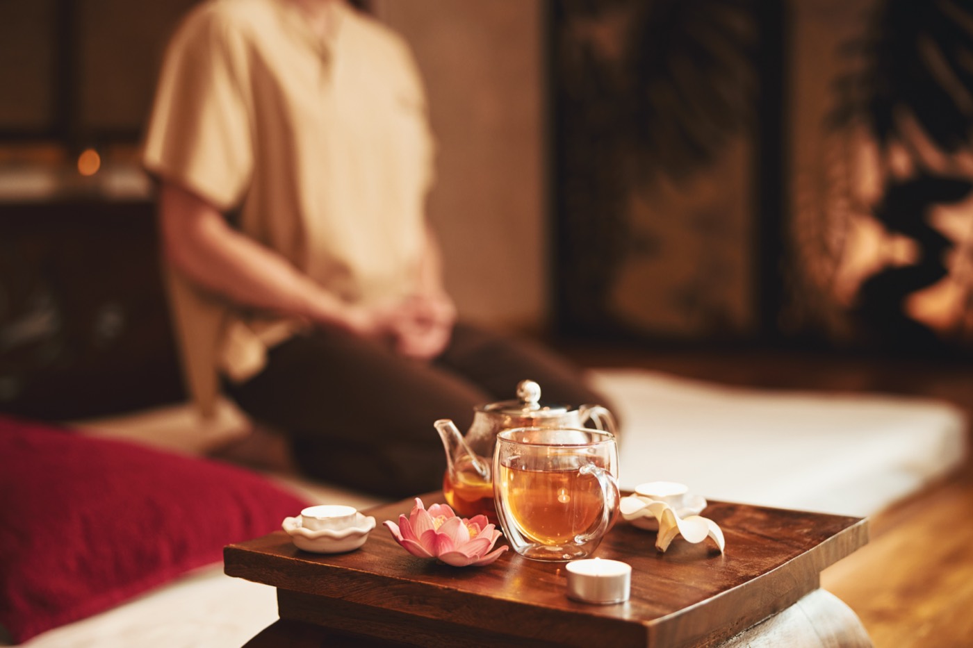 Ayurvedic Herbal Detox & Nasya