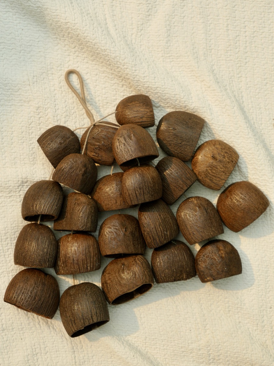 Water Bell Seed Shell Hanging (24 Pods)
