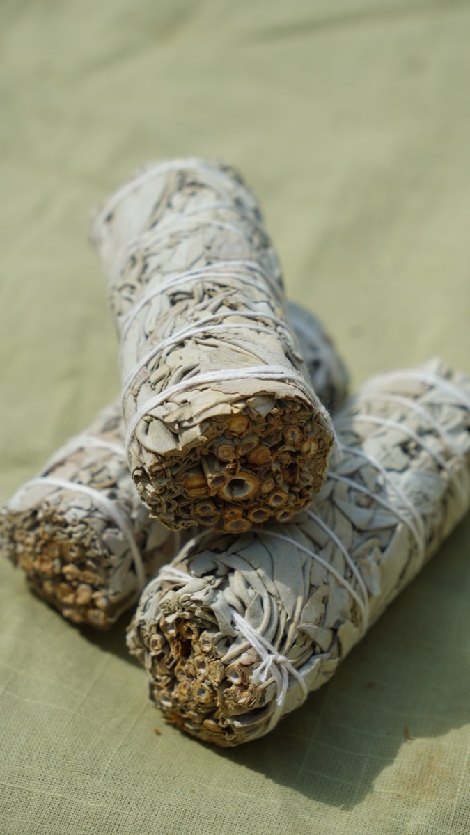 Mexican White Sage (40g)