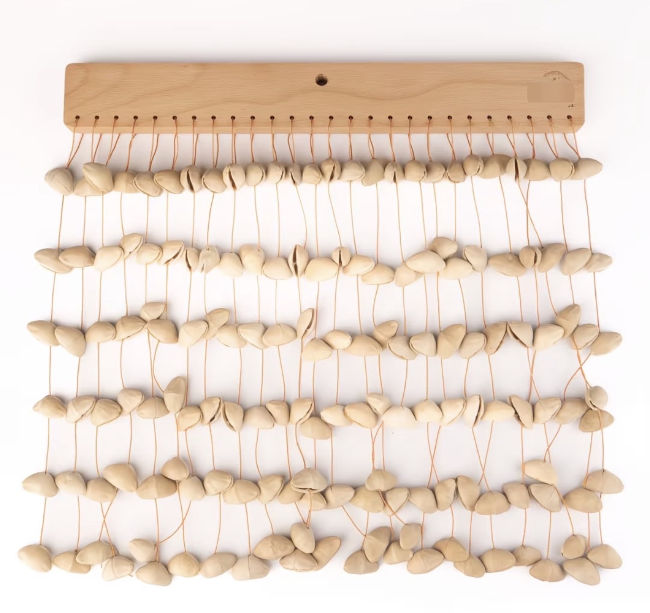 CHACHA Seed Pod Chime